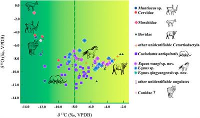 Stable Isotope Analysis of Mammalian Enamel From the Early Pleistocene Site of Madigou, Nihewan Basin: Implications for Reconstructing Hominin Paleoenvironmental Adaptations in North China